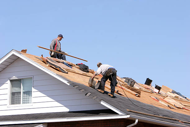 Best Roof Coating and Sealing  in Holiday Shores, IL