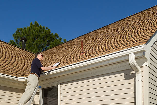 Best Roof Maintenance and Cleaning  in Holiday Shores, IL